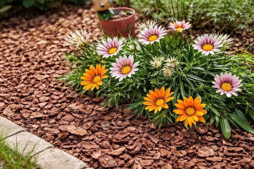 Борова кора от производител | 50л чували и насипно | София.