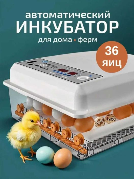 Inkubatorlar muddatli toʻlovga sotiladi 6 oyga
16..30..36..64..120.. t