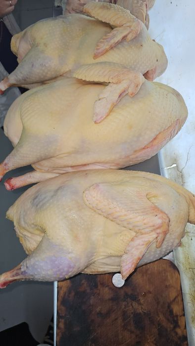 Мясо домашней птицы