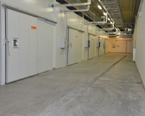Сдадим в аренду морозильные холодильные склады