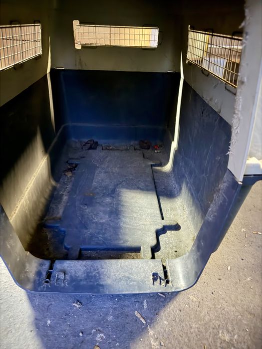 Животинска клетка