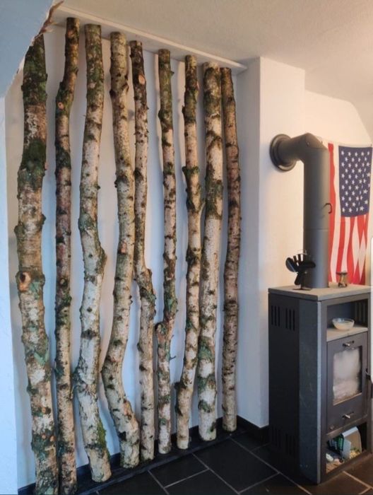 Mesteacan pentru pereti despartitori/ Paravane mesteacan alb / Tulpini