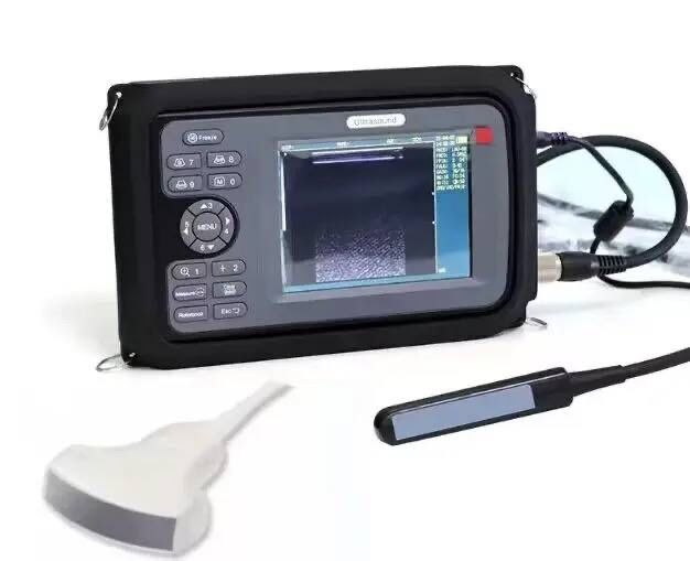 Узи аппарат для животных