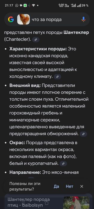 Продам петухов домашний