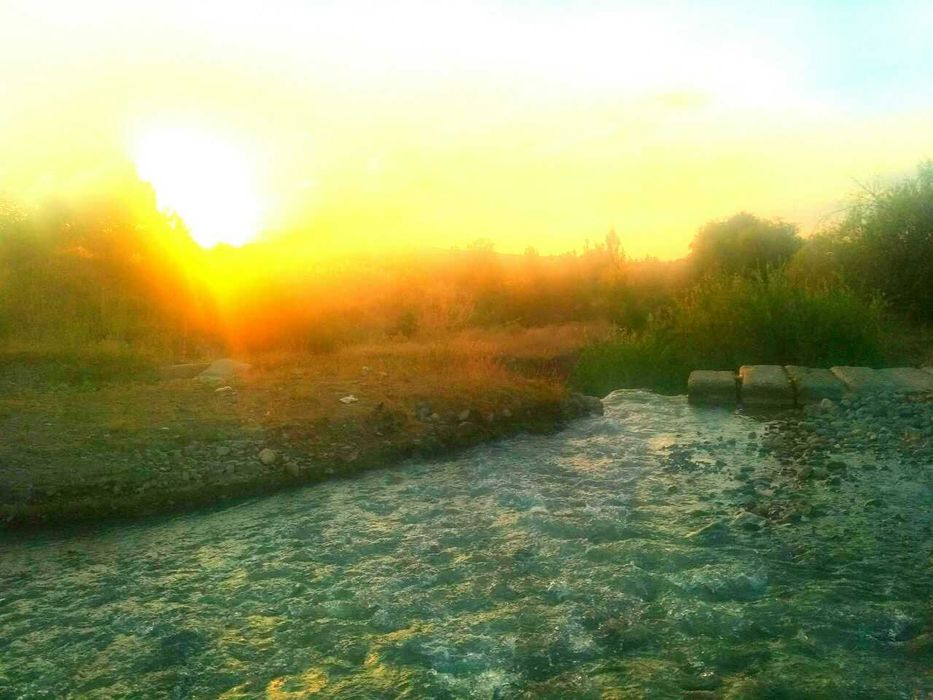 Бизнесга ва яшашга  1 ГА ерга жойлашган Уй ва  бог  Паркент рн