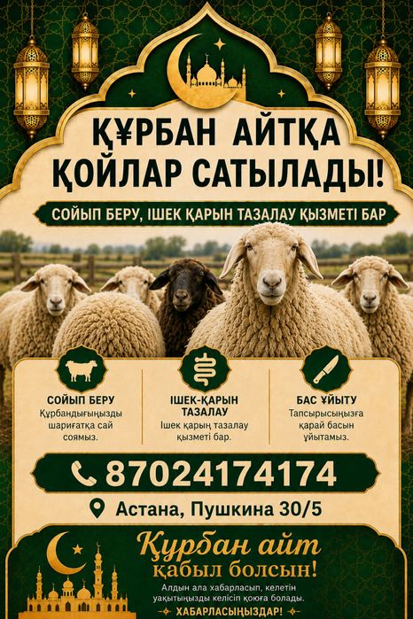 Қой сатылады Астана