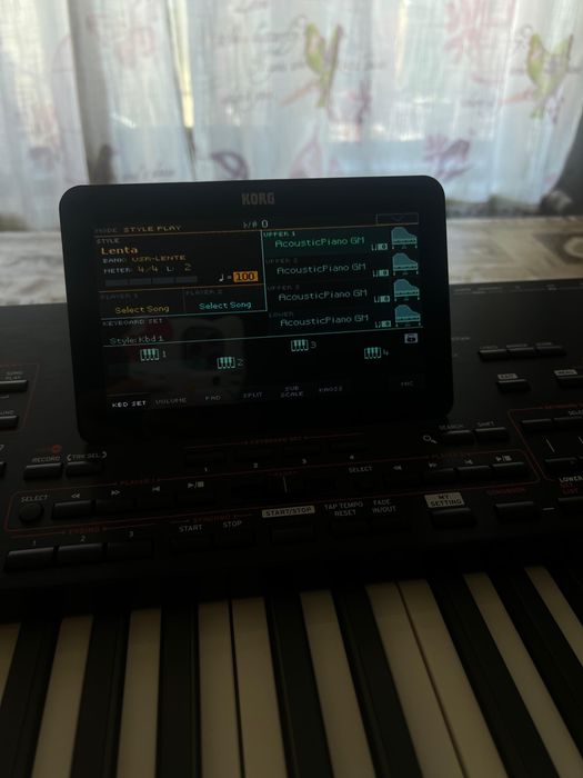 Vand Korg PA 4X International