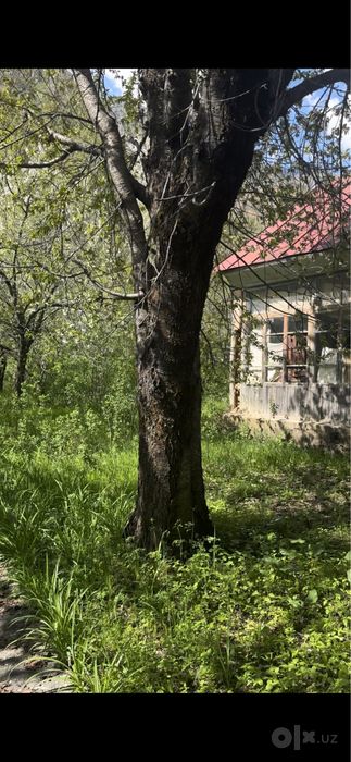 Продаётся участок в Бостанлыкском районе