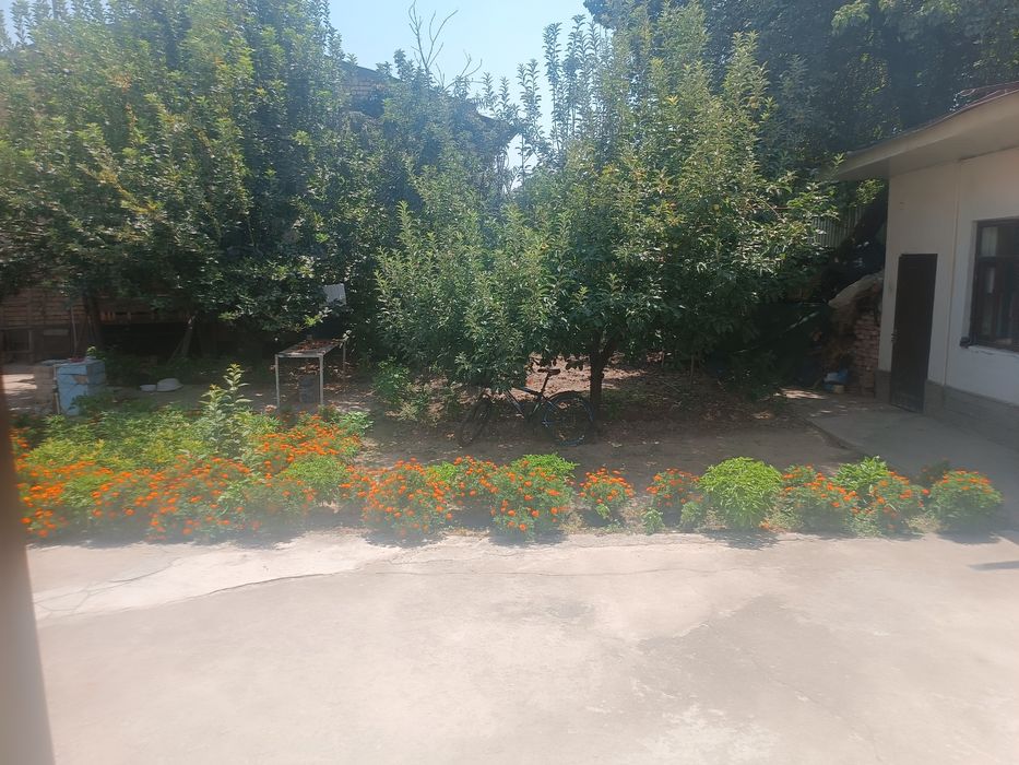 Hovli sotiladi 
4 sotix
4 xona
Bez rimont
Rayon shayxontohur durjba  s