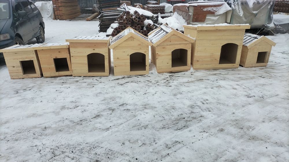 Бутики для собачий