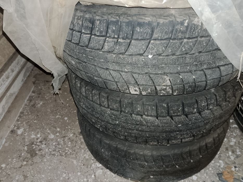 Зимние шины с титановой дисками