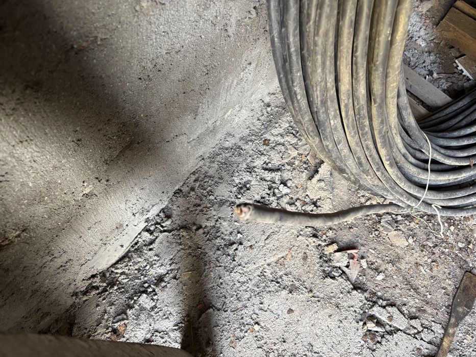 Кабель трех жильный