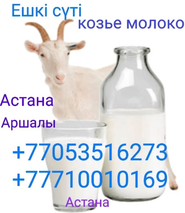 Ешкі сүті Козе молоко