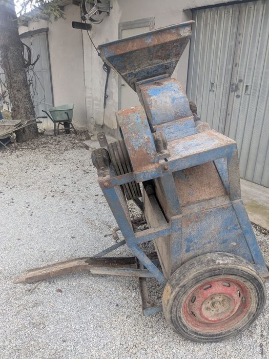 Mori cereale și furaje