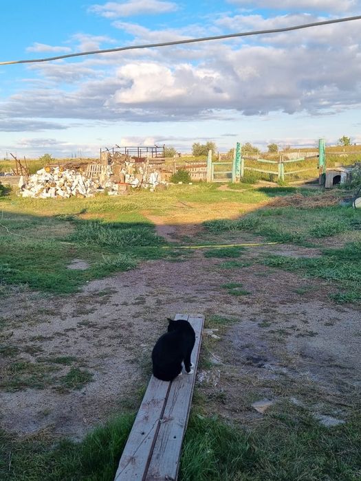 Продам дом с большим участком