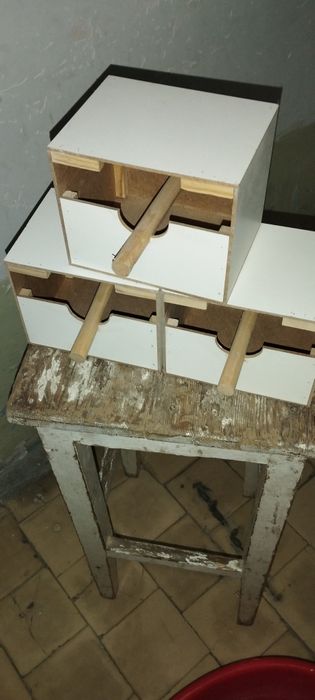 Dublanka Amadinka qushla uchun