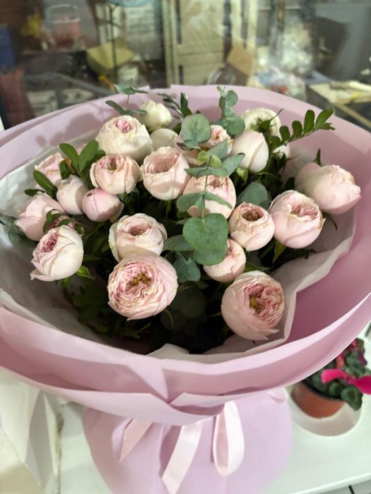 Продам срочно цветы