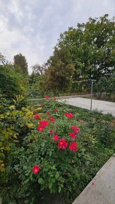 Участок 23 сотки, Новый Ташкентский район