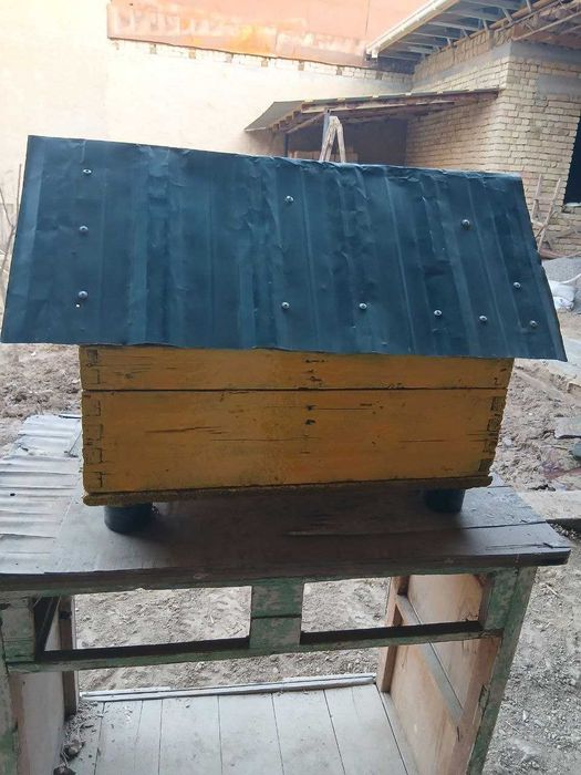 Собачья конура, будка, домик