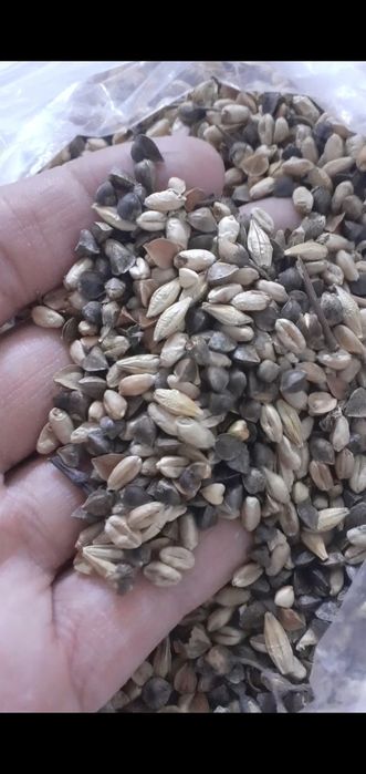 Отходы отходы гороховый