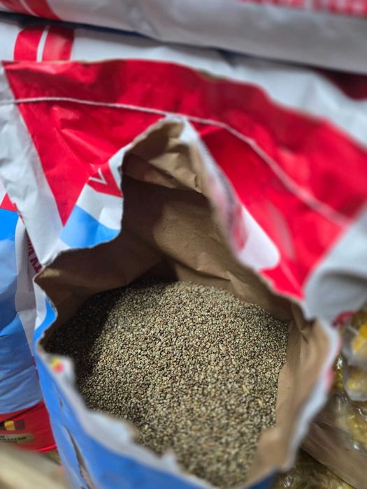 Коноп конопено семе за риболов 1кг.