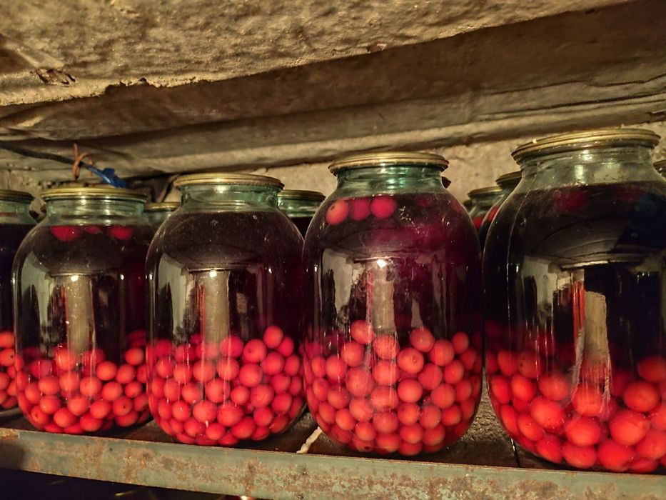 Домашняя солонина