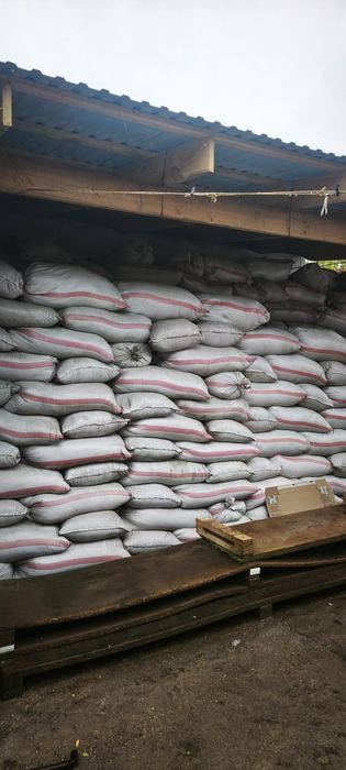 Тауыққа ешкіге қойға жем