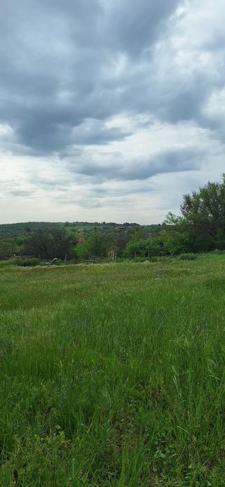Продавам парцел в регулация с ток в с. Православ