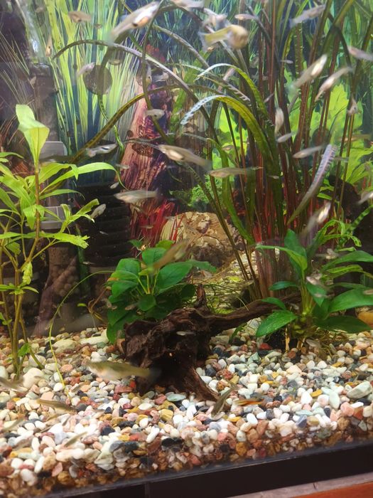 За гр.Пловдив 0,50ev.