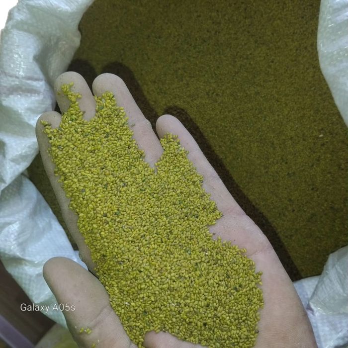 Семена люцерны !