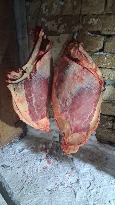 5 жас биенің еті сатылады