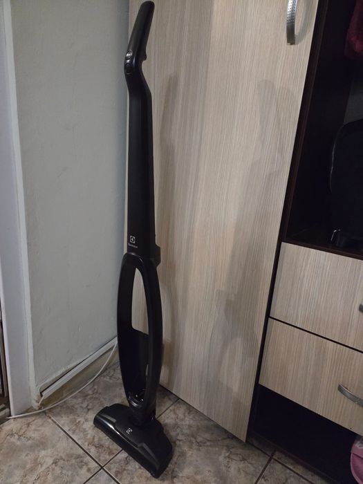 Aspirator vertical 2 in 1 Electrolux