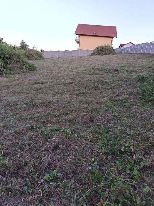 Preturi mici la defrișări,toaletat copaci, cosit,curățat terenuri, gos