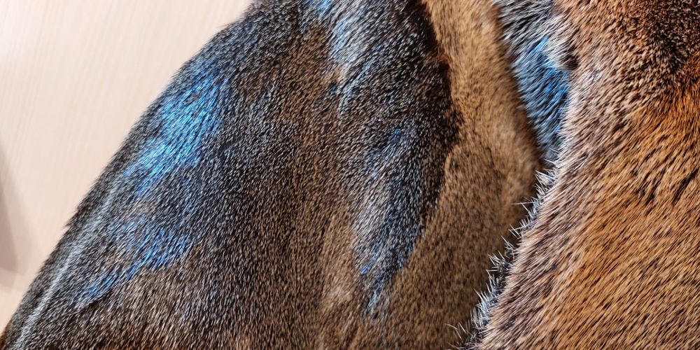 Шуба натуральная