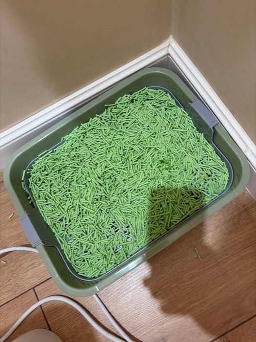 Котенка в добрые руки