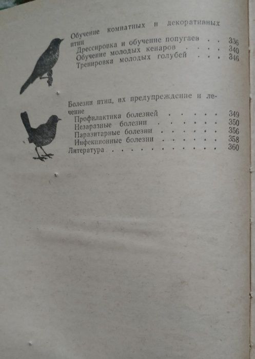 Птицы. Попугай. Полезные книги.