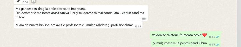 Meditatii Engleza Online –Individual - Prima sedinta GRATUITA