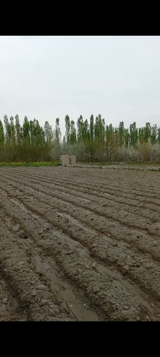 Паканада, 8 соток йер сотилади