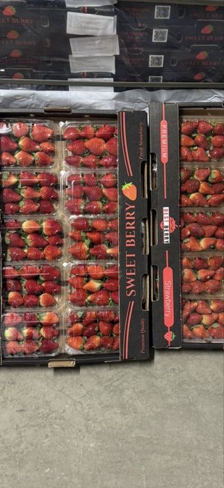 Свежая клубника Египет в Актобе