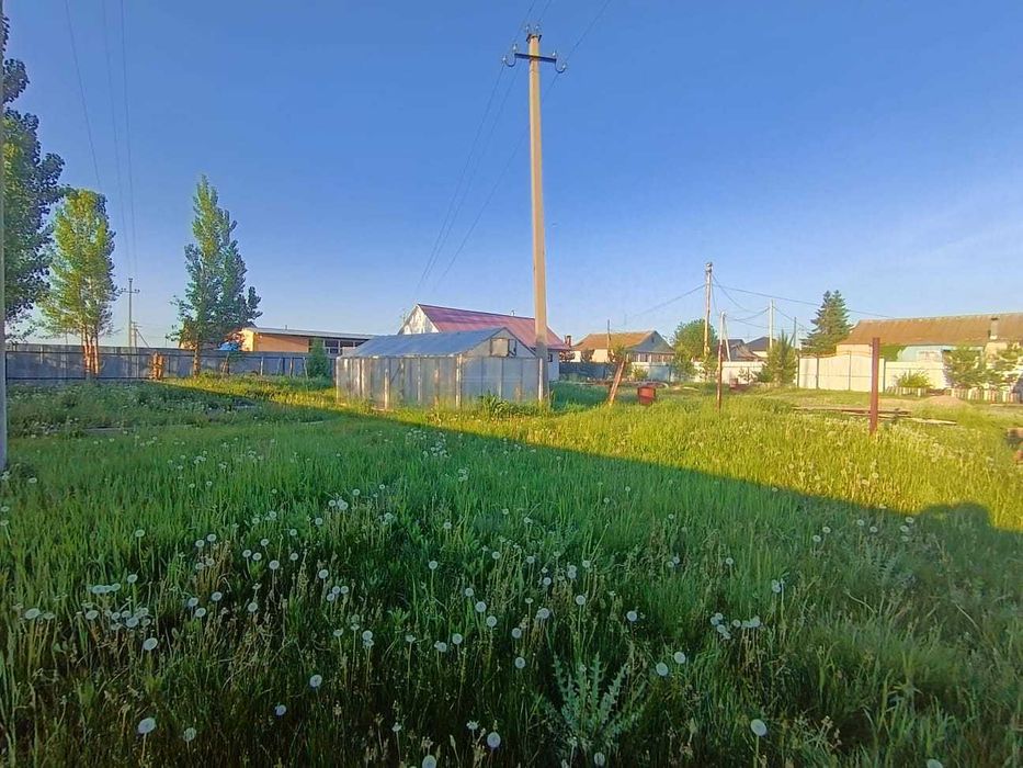 В продаже летний домик, Бесколь