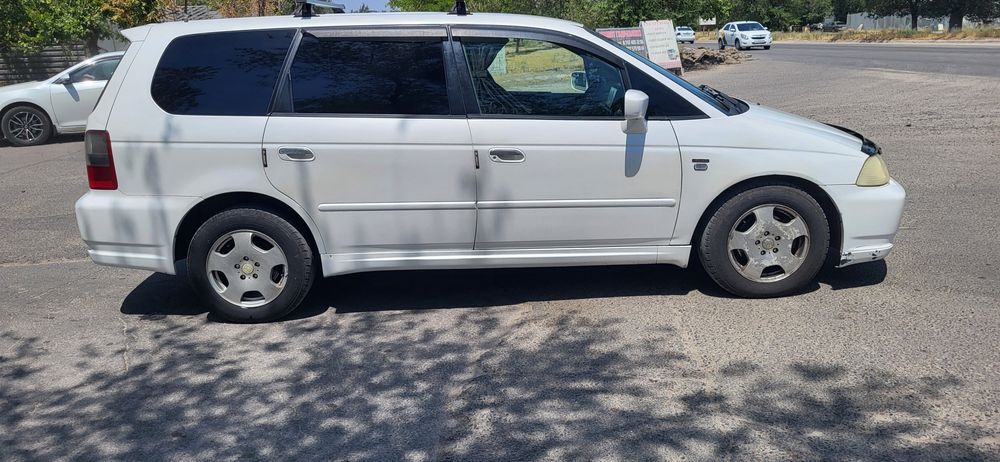 хонда одиссей абсолют