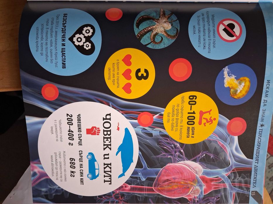 Детска енциклопедия за човешкото тяло