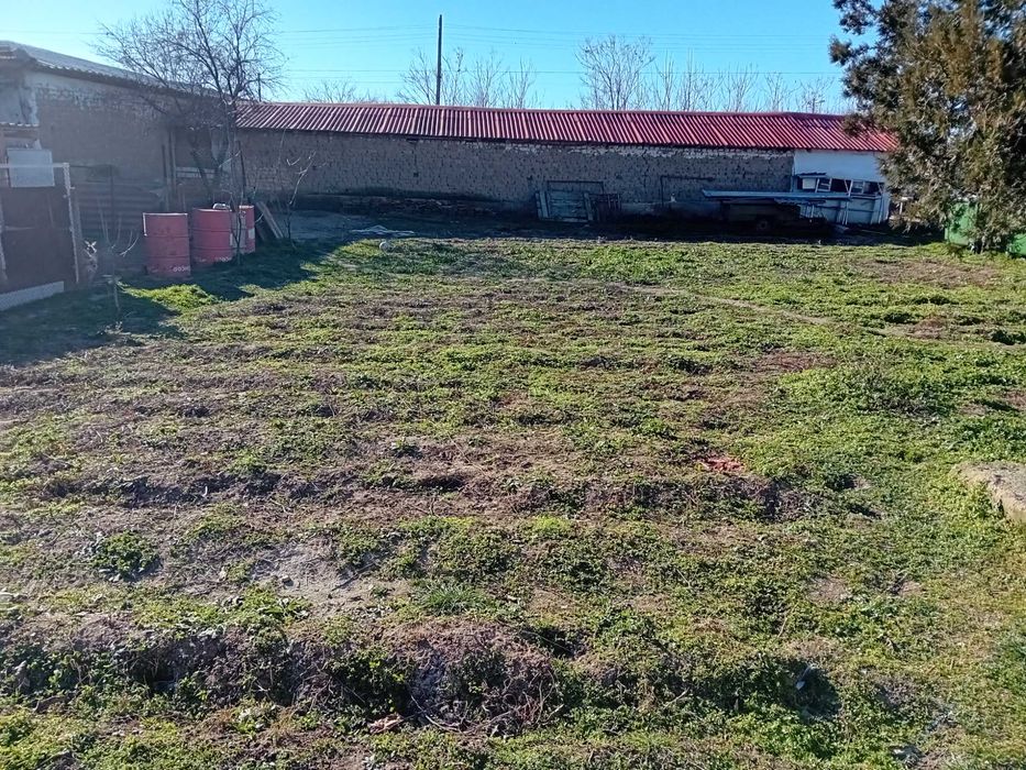 Обява в Село Калояновец