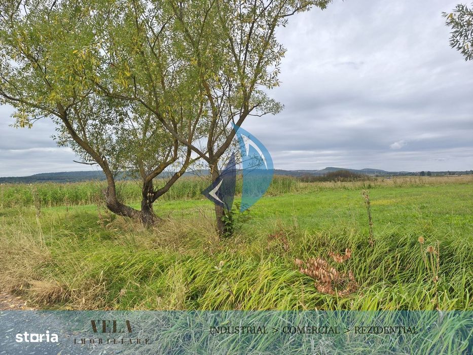 Teren 1200 mp in Dumbravioara