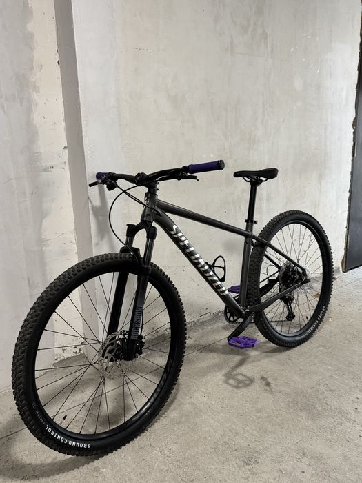 Specialized Rockhopper Expert Smoke