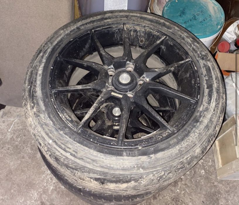 Дика хорошый состояения