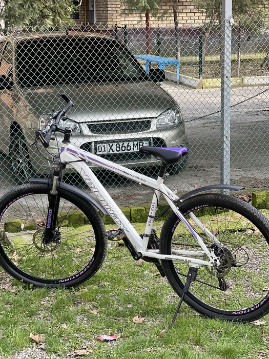 Velik 29 razmerda ideal holatda