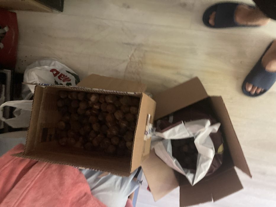 Орех грецкий домашний