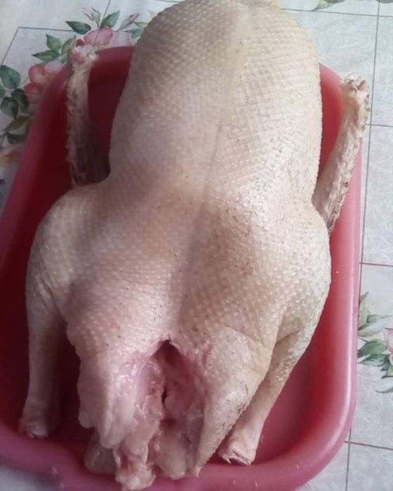 Продам мясо гуся!
