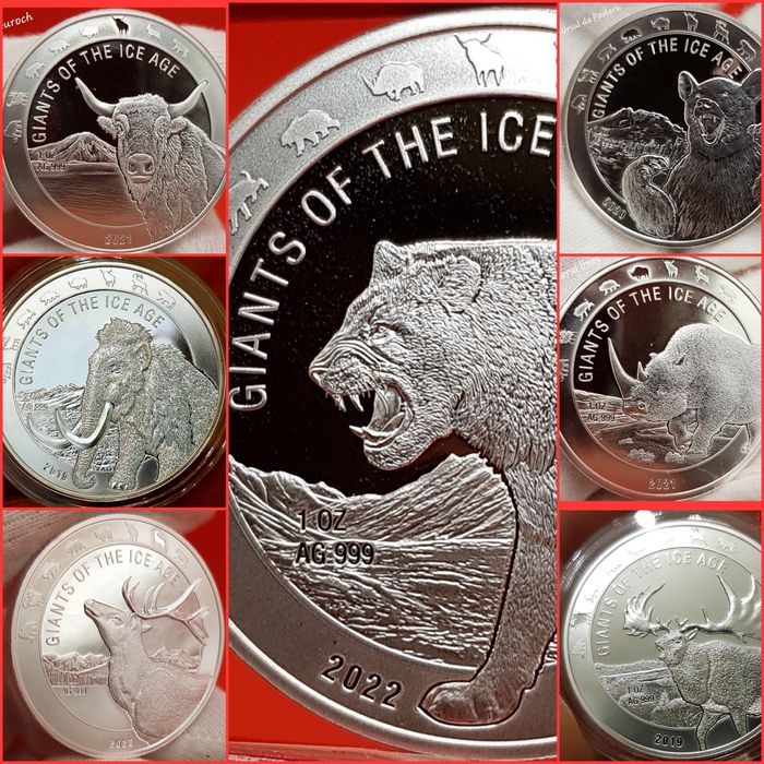 Leul Cehiei, Uriasi ai Epocii de Gheata monede lingou argint 999